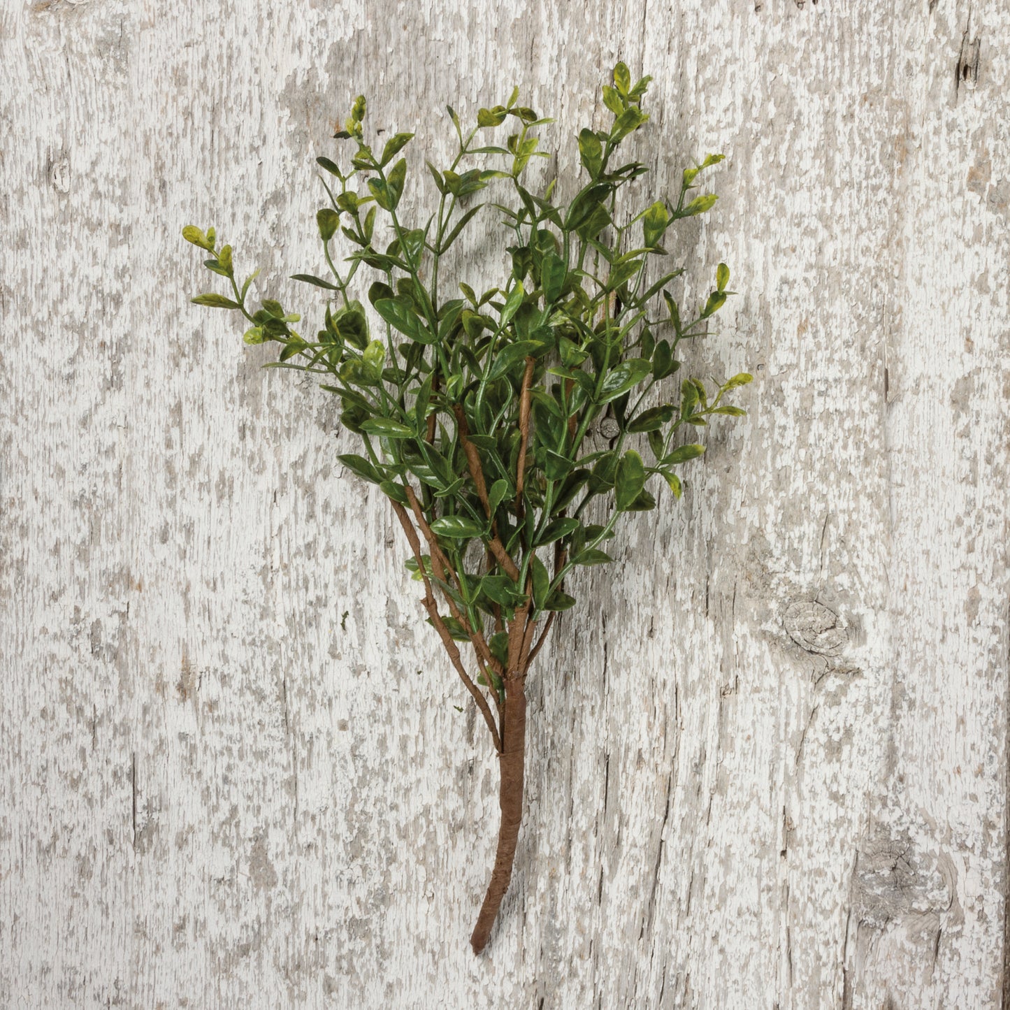 Pick-Boxwood