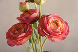 Pick-Ranunculus