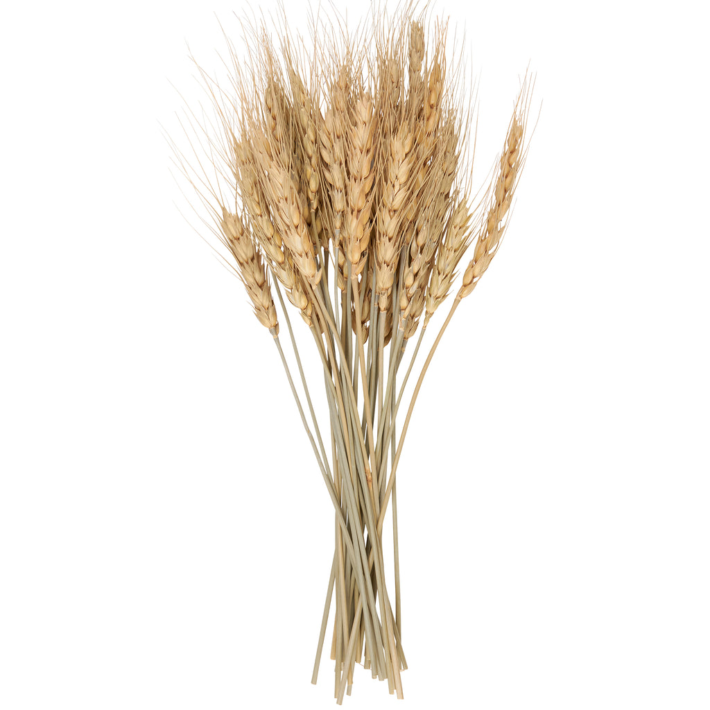 Wheat Bouquet