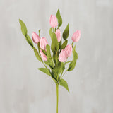 Pink Tulips Pick