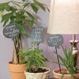 House Plant Sayings Stake
