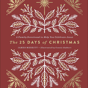 The 25 Days of Christmas, Book