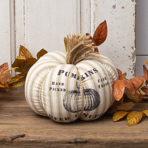 Grain Sack Stripe Pumpkin with Jute Stem