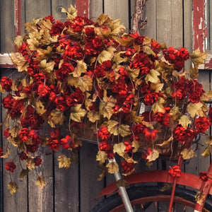 Red Hops Stem