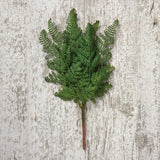 Dark Lacy Fern Pick