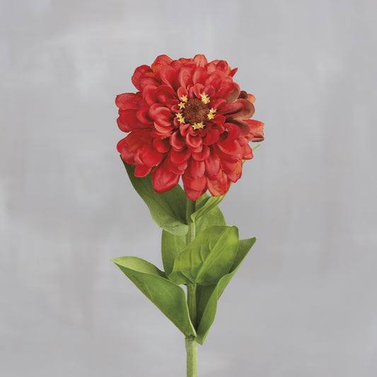 Red Zinnia Pick