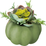 Pumpkin Planter Med - Green