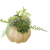 Pumpkin Planter Med - Cream