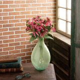 Pick-Pink Coneflower
