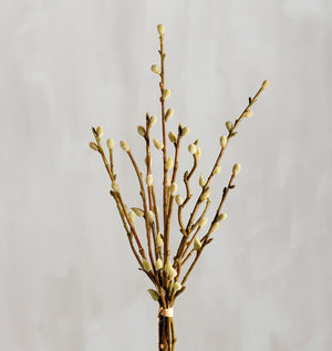 Bouquet - Pussy Willow